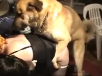 Busty lady cop got banged hard by dog's dick